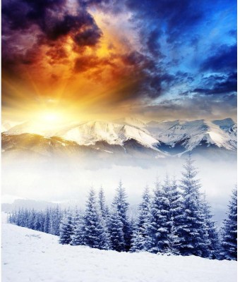 Pitaara Box 72.898 cm Majestic Winter Landscape Unframed Glossy PVC Vinyl Wall Sticker Decal Self Adhesive Sticker(Pack of 1)