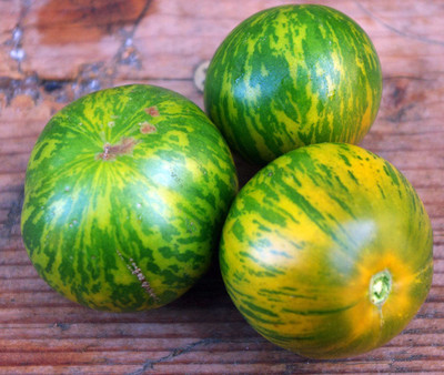 VibeX ® VMR-672 Tomato Green Zebra Tomato Seeds Seed(200 per packet)