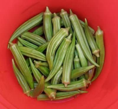 VibeX ® RXI-598 EMERALD GREEN VELVET OKRA Spineless Seed(100 per packet)