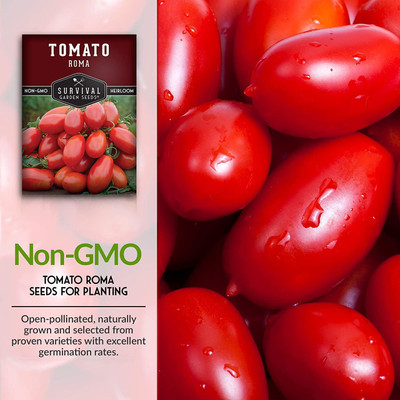 VibeX NDIR-68 - Roma Tomato - (1350 Seeds) Seed(1350 per packet)