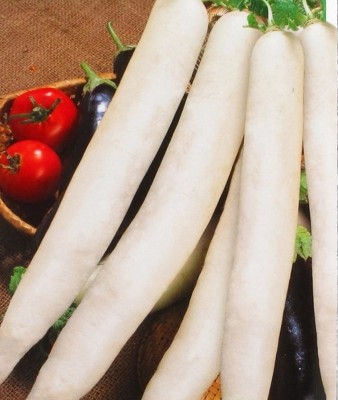 VINTI Daikon Radish Minovaze Seed(300 per packet)