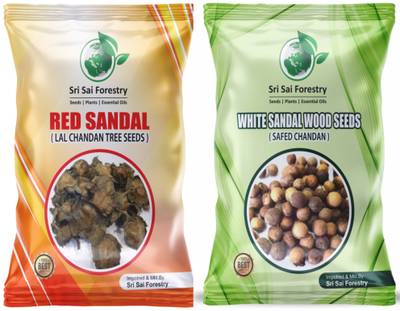SRI SAI FORESTRY Sandalwood ( Red & White) Tree Seeds Combo Pack Seed