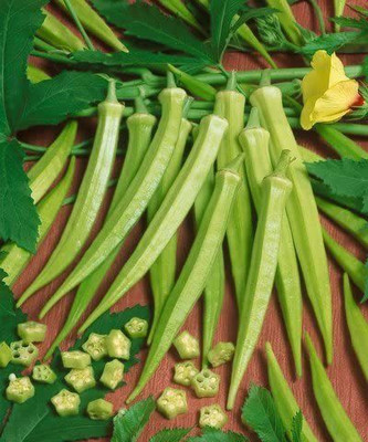 VibeX ® XXL-606 Clemson Spineless Okra Seeds Seed(100 per packet)