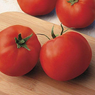 WILLVINE HUA-339 Big Yummy Hybrid-2500 Seeds Seed(2500 per packet)
