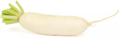 VINTI (मूली के बीज) White radish Seed(2000 per packet)