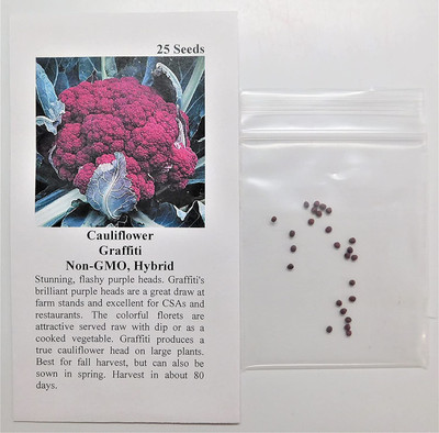 CYBEXIS LX-98 - Cauliflower(Purple)Non-GMO Hybrid - (450 Seeds) Seed(450 per packet)