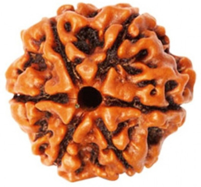SHIVOHAM Lab Certified Original 6 Mukhi Rudraksha. Silk Dori