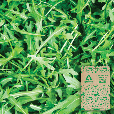 Optimal Seeds Arugula Rocket Salad Leaves Seed(50 per packet)