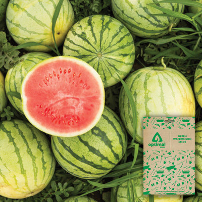 Optimal Seeds Green Watermelon Seed(10 per packet)
