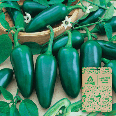 Optimal Seeds Jalapeno Pepper Seed(20 per packet)