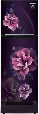 SAMSUNG 253 L Frost Free Double Door 2 Star Refrigerator with Base Drawer (Camellia Purple, RT28B3122CR)