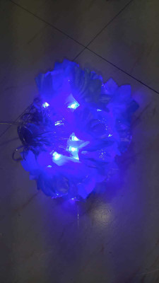 quality21 20 LEDs 5 m Blue Steady Flower Rice Lights(Pack of 1)