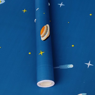 HOMEMATES Nature Blue Wallpaper(45 cm x 304 cm, Pack of 2)