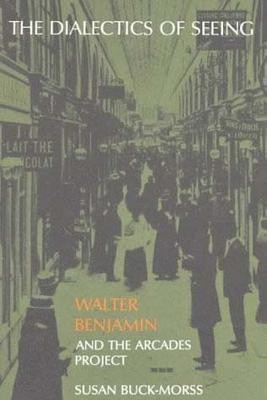 The Dialectics of Seeing(English, Paperback, Buck-Morss Susan)
