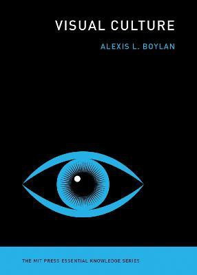 Visual Culture(English, Paperback, Boylan Alexis L.)