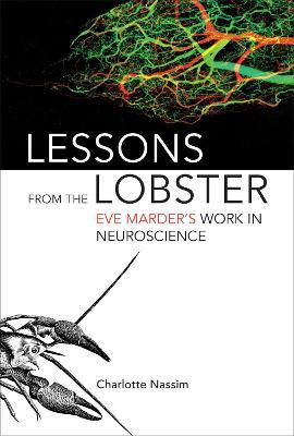 Lessons from the Lobster(English, Hardcover, Nassim Charlotte)