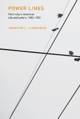 Power Lines(English, Hardcover, Lieberman Jennifer L.)
