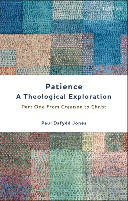 Patience-A Theological Exploration(English, Hardcover, Jones Paul Dafydd Dr)