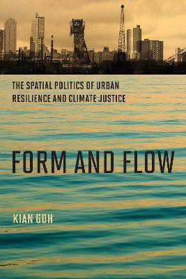 Form and Flow(English, Paperback, Goh Kian)