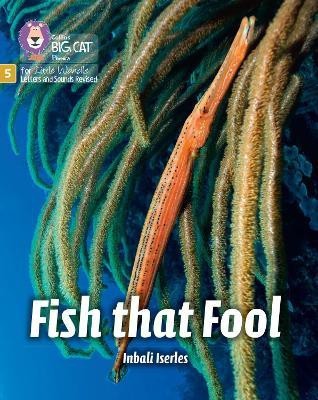 Fish that Fool(English, Paperback, Iserles Inbali)