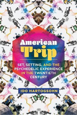 American Trip(English, Paperback, Hartogsohn Ido)