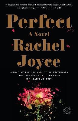 Perfect(English, Paperback, Joyce Rachel)