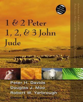 1 and 2 Peter, Jude, 1, 2, and 3 John(English, Paperback, Davids Peter H.)