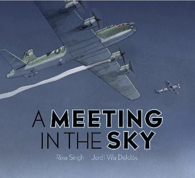 A Meeting in the Sky(English, Hardcover, Singh Rina)