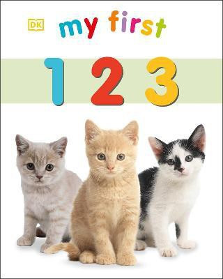 My First 123(English, Board book, DK)
