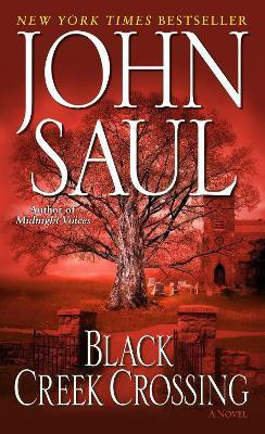 Black Creek Crossing(English, Paperback, Saul John)