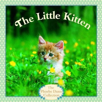 Little Kitten(English, Paperback, Dunn)