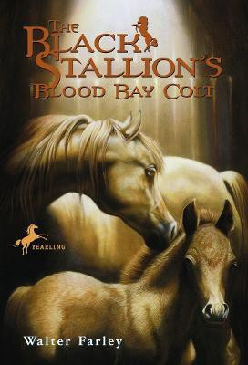 The Black Stallion's Blood Bay Colt(English, Paperback, Farley Walter)