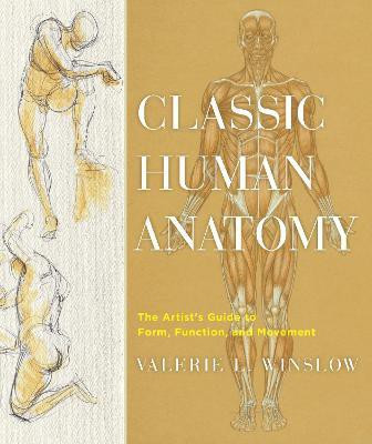 Classic Human Anatomy(English, Hardcover, Winslow V)