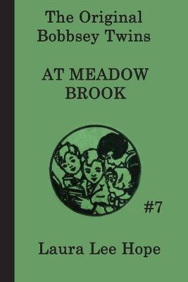 The Bobbsey Twins at Meadow Brook(English, Paperback, Hope Laura Lee)