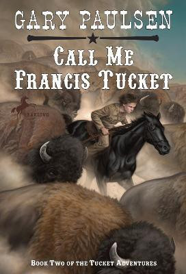 Call Me Francis Tucket(English, Paperback, Paulsen Gary)