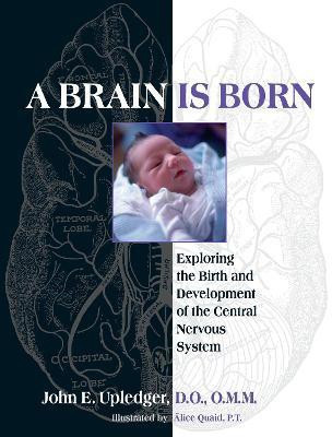 A Brain Is Born(English, Paperback, Upledger John E.)