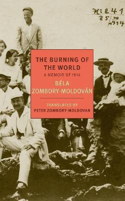 The Burning Of The World(English, Paperback, Zombory-Moldovan Bela)
