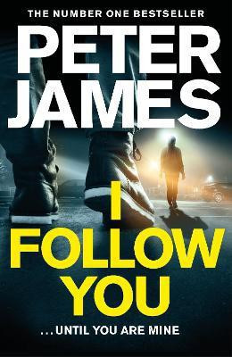I Follow You(English, Hardcover, James Peter)