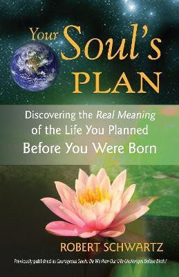 Your Soul's Plan(English, Paperback, Schwartz Robert)