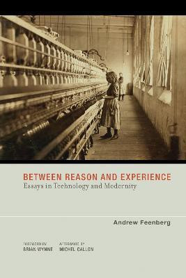 Between Reason and Experience(English, Paperback, Feenberg Andrew)