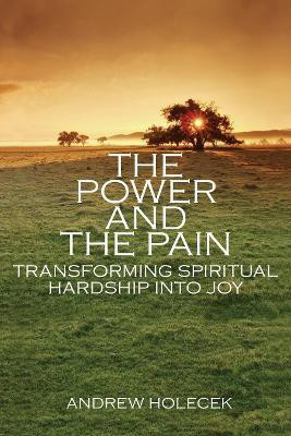 The Power and the Pain(English, Paperback, Holecek Andrew)