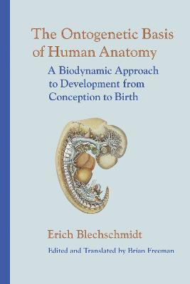 The Ontogenetic Basis of Human Anatomy(English, Hardcover, Blechschmidt Erich)
