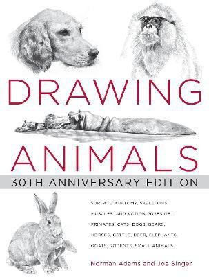 Drawing Animals(English, Paperback, Adams Norman)