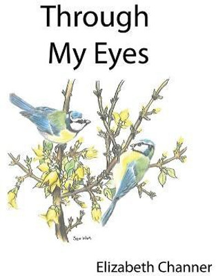 Through My Eyes(English, Paperback, Channer Elizabeth A)
