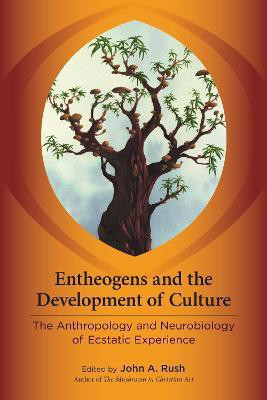 Entheogens and the Development of Culture(English, Paperback, unknown)
