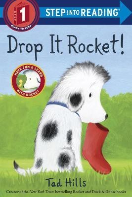 Drop It, Rocket!(English, Paperback, Hills Tad)