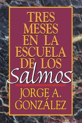 Tres Meses En La Escuela De Los Salmos(English, Paperback, Gonzalez Jorge)