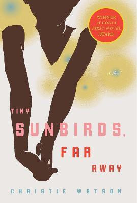Tiny Sunbirds, Far Away(English, Paperback, Watson Christie)