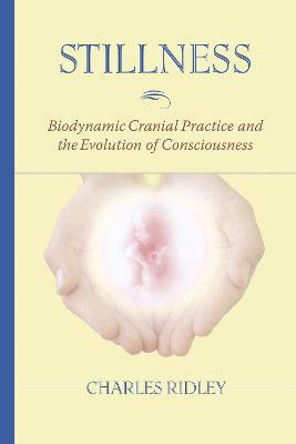 Stillness(English, Paperback, Ridley Charles)