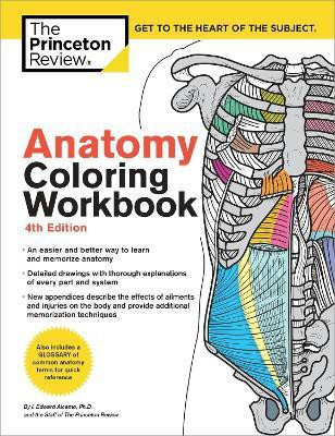 Anatomy Coloring Workbook, 4th Edition(English, Paperback, The Princeton Review Edward)